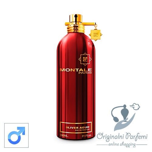 Montale Sliver Auod 100ml EDP